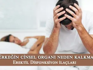 Erkeğin cinsel organı neden kalkmaz